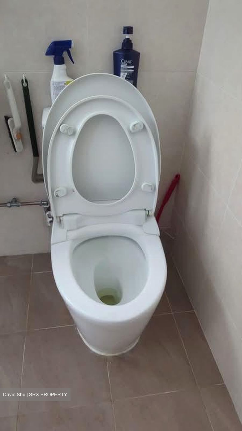 Blk 106 Spottiswoode Park Road (Bukit Merah), HDB 5 Rooms #580693941